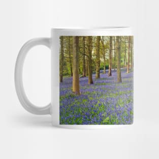 Bluebells Bluebell Woods Greys Court Oxfordshire UK Mug